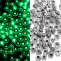 Cuentas de vidrio luminosas de 3mm para DIY con brillo verde y aspecto de luz diurna - Transparente / 3mm, 600 Piezas/Paquete / Gris