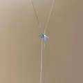 Primo piano di una collana con ciondolo a forma di stella marina blu e conchiglia - Argento Blu