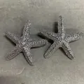 Eleganti orecchini a lobo a forma di stella marina testurizzata in finitura argento - Forma a stella marina / Argento