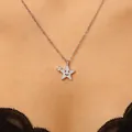 Vista dettagliata di un'elegante collana a stella d'argento con faccina sorridente e zircone. - Stile Stella (8867) / Argento (Stella)