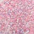 Fette di nuvola in argilla polimerica rosa e bianca con sorrisi e strass per decorazioni fai-da-te - Nuvola Rosa Viso Sorridente (Stile A) / 10g/Confezione