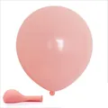 Thick 10-inch macaron pastel pink latex balloon for birthday and wedding party decor - 10 Inch (100 Pcs/Pack) / Macaron Orange