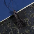 Classic dark brown silk tassel pendant for bookmarks and clothing accessories - Total length approx 16cm, rope approx 8cm, tassel approx 8cm, 1 pc/pack / Dark Coffee