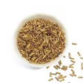 Golden spiral glass bugle beads for DIY handmade bracelets and jewelry making - Gold