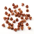 Sandelhout kegelkralen met natuurlijke houtnerf voor DIY armbanden maken - 6x7mm (2 Stuks/Verpakking) / Imperial Wood