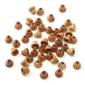 Perle in legno di sandalo marrone naturale per gioielli DIY con venature uniche - 6x7mm (2 Pezzi/Confezione) / Legno Dorato