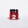 Red felt 2nd birthday crown for kids or pets with elastic strap and white number 2 - Number 2