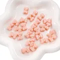 Pastelroze acryl strikkralen voor DIY-armbanden en kettingen op een dienblad - 5 stuks/verpakking (15x11mm) / Oranjeroze