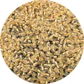 Transparent champagne gold core glass seed beads for DIY jewelry and bracelet making - Orange
