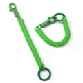 Bright green spiral spring keychain with matching plastic carabiner and ring - Dark Green