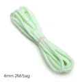Luminous mint green 4mm nylon paracord, 2M per bag for DIY bracelet and craft making - Approx 4mm 2M/bag / Green and White
