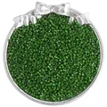Matte dark green 2mm glass delica beads for DIY jewelry making in a silver tray - 10g/Pack / 2.5mm / Dark Grass Green