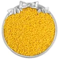 Premium bright yellow glass seed beads for DIY jewelry making in a vintage silver tray - 10g/Pack / 2.5mm / Rapeseed Yellow