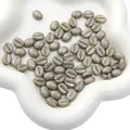 Grijze koffieboon acrylkralen met goudtextuur voor DIY sieraden maken en armbanden - 8x10mm (Gat van ca. 1mm) 20 stuks/verpakking / Grijs