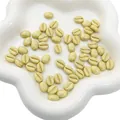Crèmekleurige acryl koffieboon kralen met gouden groeven voor DIY sieraden - 8x10mm (Gat van ca. 1mm) 20 stuks/verpakking / Grasgeel