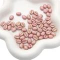 Roze acryl kralen in koffieboonvorm met gouden glitters voor DIY sieraden maken - 8x10mm (Gat van ca. 1mm) 20 stuks/verpakking / Roze