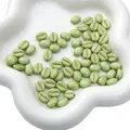 8x10mm lichtgroene acryl koffieboonkralen met gouden gegraveerde lijn voor DIY-sieraden - 8x10mm (Gat van ca. 1mm) 20 stuks/verpakking / Groen