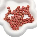Bruine acryl koffieboon kralen met gouden stippen voor DIY sieraden maken en armbanden - 8x10mm (Gat van ca. 1mm) 20 stuks/verpakking / Rood