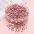 Perles de rocaille roses 3mm avec doublure argentée dans un récipient transparent - 3mm (10g/paquet, env. 300 pièces) / Rose Foncé