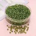 Perles de rocaille 3mm vert olive avec cœur argenté en boîte ronde pour bijoux DIY - 3mm (10g/paquet, env. 300 pièces) / Vert Herbe