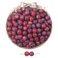 Sternenklare rot-blaue Harzperlen in Vintage-Schale für DIY-Schmuckherstellung - Runde Perlen / 10 Stück (ca. 10mm, Loch 1.5mm) / Rotviolettes Treibsandmuster