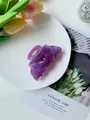 Eleganter lila Schmetterling Haarklammer mit ausgeschnittenen Flügeln und Metallfeder - Lila
