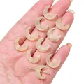 DIY jewelry beads in cream yellow crescent moon shape with pre-drilled holes - Moon Style / 15x12mm (10 Pieces/Pack) / Yellow