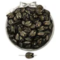 Perla a forma di tulipano in acrilico nero e oro per creazioni di gioielli fai da te - 12x16mm / Stile Tulipano / Confezione da 40 / Nero Dorato