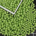 Perles baies vertes texturées avec trous pour bijoux DIY et accessoires faits main - Texture de Myrique / Diamètre 10mm (100 Pièces/Pack) / Vert clair