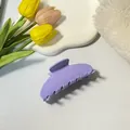 Large matte lavender hair claw clip in acetate for French style updo hair styling - Purple