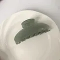 Pinza para el pelo de acetato verde salvia con purpurina para peinados de estilo francés - Verde Brillo