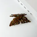 Detailed close-up of butterfly acetate claw clip with blue and tortoiseshell pattern - Maillard Style