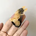 German Shepherd shaped acetate hair claw clip with amber and dark brown marble texture - German Shepherd Style
