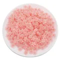 Pink acrylic star-shaped beads for DIY jewelry making displayed in a white tray - 30g/Pack (Approx. 83 Pcs, 11x11.5mm) / Frosted Light Green Star