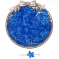 Perles en verre étoile de mer bleues translucides texturées pour la création de bijoux - 10 Pièces/Paquet (15x14mm, Trou 1mm) / Bleu clair