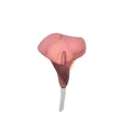 Broche fleur de lys rose et violette en acrylique translucide au style vintage - Rose Foncé