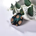 Artistic ladybug brooch in marble green and brown resin on a decorative white porcelain plate - Cyan