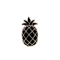 Dettaglio di una spilla smaltata a forma di ananas con riempimento nero e linee dorate - Ananas Oro Nero
