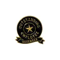 Outstanding Employee black and gold enamel pin with gold star for November award - November