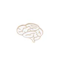 Detailed view of brain enamel pin with white filling and golden metallic outlines - White Anatomical Brain (C1250)