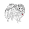 Süße Pomeranian Hund Metallbrosche in Silberoptik mit roten Emaille-Details - C2731-4-si