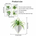 Size guide for green potted plant wall stickers including 60x55cm total dimensions - 30*55cm*2PCS/Set