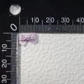 Mini fiocchi in nastro di raso viola chiaro da 15 mm per abbigliamento per bambole fai da te - Stile Lavanda