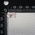 Mini fiocco in raso rosa chiaro per vestiti di bambole e artigianato fai-da-te largo 15mm - Stile Rosa Chiaro