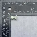 Primer plano de un lazo de doble capa verde claro de 15 mm sobre una regla métrica - Verde Frijol