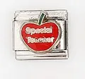 Detail of stainless steel Italian charm link with red apple and Special Teacher text - Special Teacher With Apple (0018-24)
