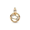 Macro detail of golden Gemini charm featuring hollow star patterns and sparkling gemstones - Gemini (9)