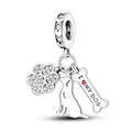 Macro detail of silver pet charms with crystal paw, dog silhouette and bone pendant - Pet Paw Bone