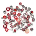Detailed shot of red crystal glass beads and silver alloy charms for DIY jewelry making - 50 Pieces Set / Red