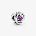 Close-up of silver braided bead charm with a centered round purple gemstone - Purple